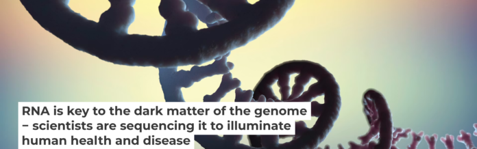 There is still a great deal unknown about RNA and its modifications. Christoph Burgstedt/Science Photo Library via Getty Images